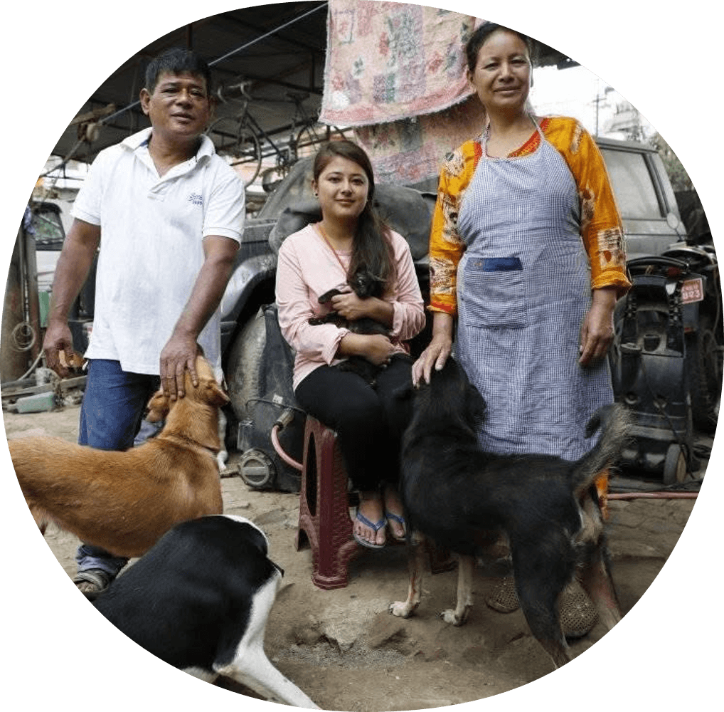 Oxsa Nepal team caring for dogs and a kitten at the shelter